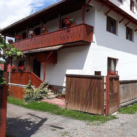 Molnar Vendeghaz Bed & Breakfast Praid Dış mekan fotoğraf