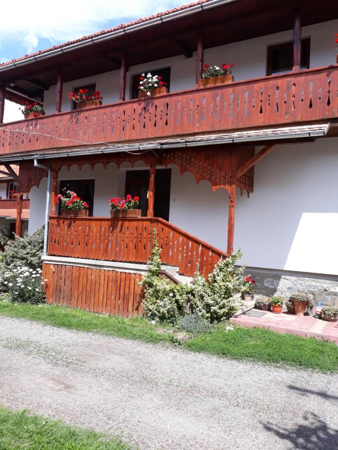 Molnar Vendeghaz Bed & Breakfast Praid Dış mekan fotoğraf