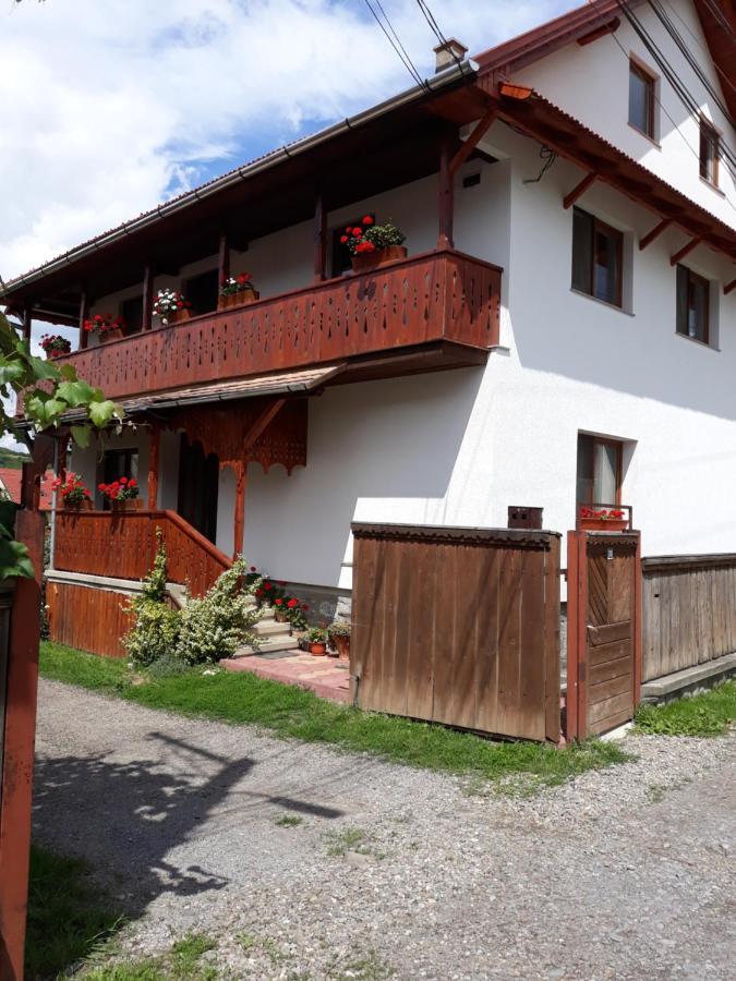 Molnar Vendeghaz Bed & Breakfast Praid Dış mekan fotoğraf
