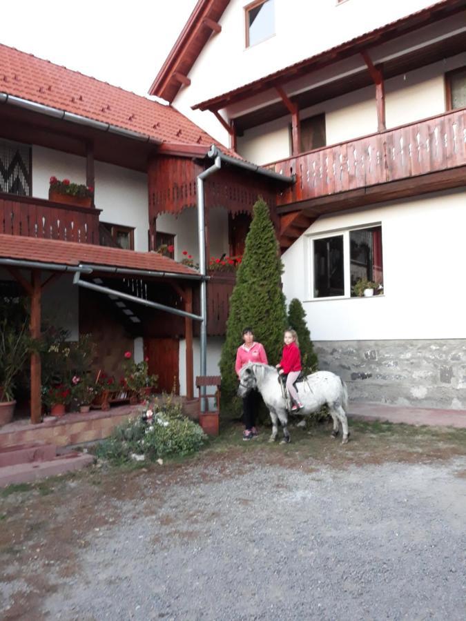 Molnar Vendeghaz Bed & Breakfast Praid Dış mekan fotoğraf
