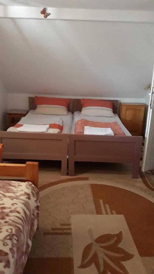 Molnar Vendeghaz Bed & Breakfast Praid Dış mekan fotoğraf