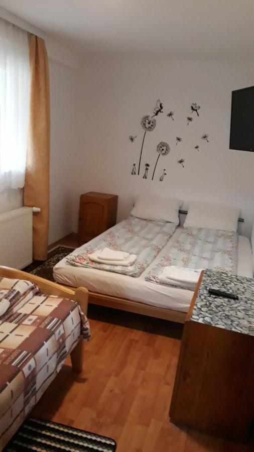 Molnar Vendeghaz Bed & Breakfast Praid Dış mekan fotoğraf